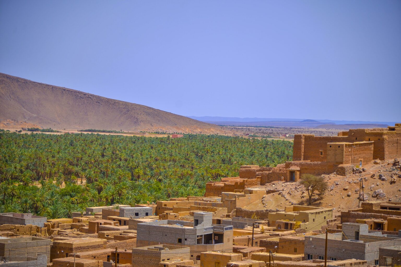 Akka Oasis: Discover Lush Greenery in the Desert West of Tata