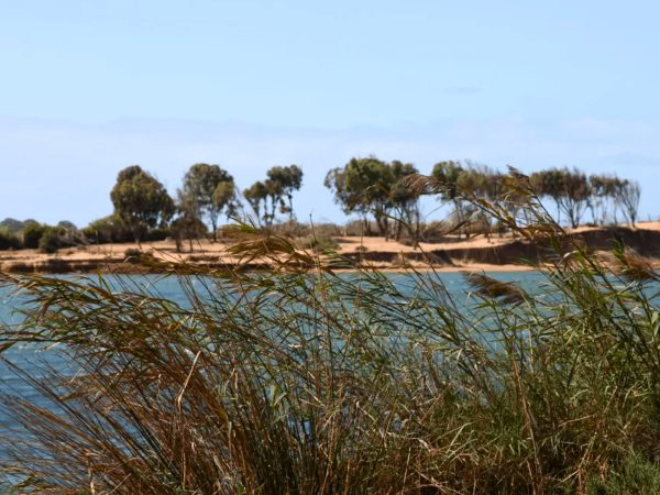 embouchure oued souss